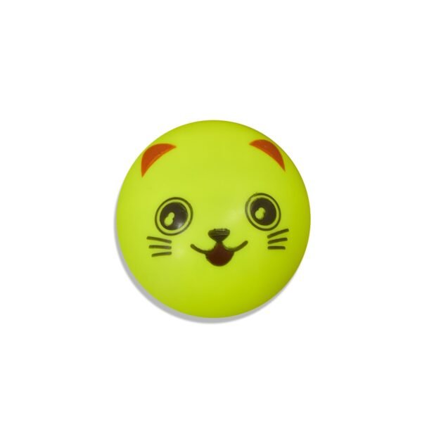 Pull Back Smiley Toy