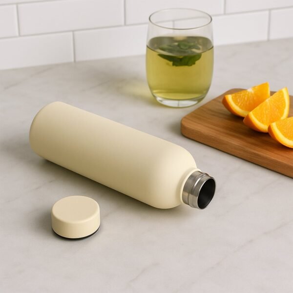 Stainless Steel Double Wall Vacuum-Insulated Drink Water (Mix Color / 500 ML Approx)