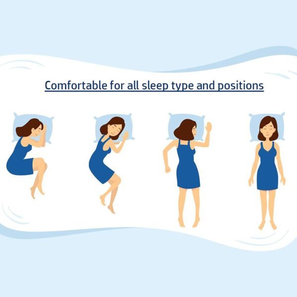 Soft Decorative Pillow Covers Bed, Sofa, Chair – Home & Living Room Decor (60×60 CM)