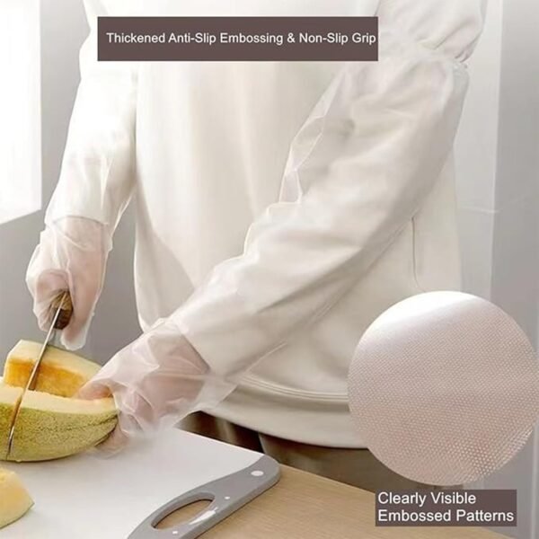 06_83613689-5d9c-46e9-9c74-92bfbfad59d0.jpg Disposable Plastic Gloves For Kitchen Food Handling (1 Pair)