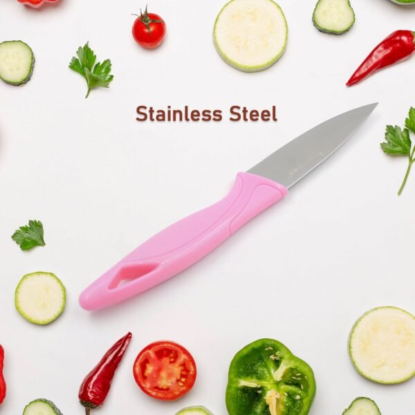 Stainless Steel Small Fruit Knife with Non-Slip Handle & Protective Cover (1 Pc)