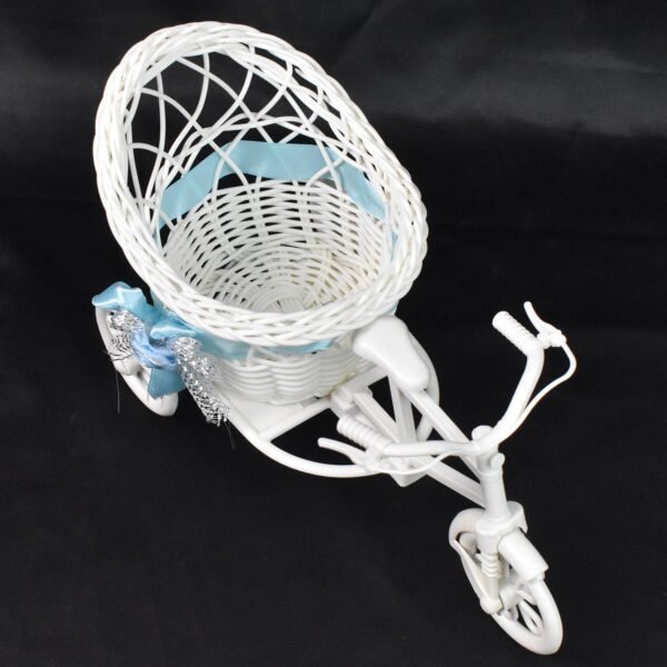 06_98a043d5-a72d-45e1-b224-fbe47686df60.jpg Plastic Cycle Flower vases for Home decor; Bicycle Flower Pot Stand