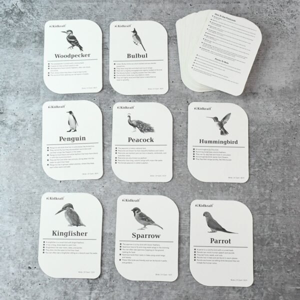 KidKraft Early Learner Educational Flashcards – 32 Birds