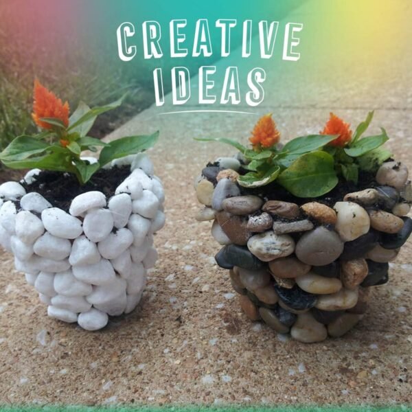 06_stones.jpg Decorative River Rock Stones (1 Set)