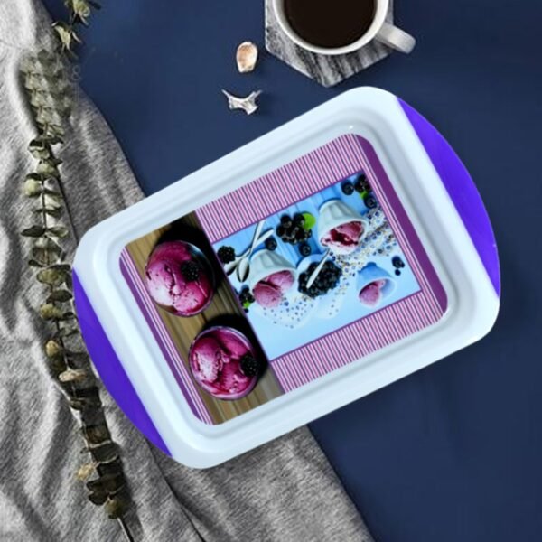 07_073db9e5-6200-4856-a9cf-6081def6d602.jpg Small Plastic Tray for Kitchen and General Purpose