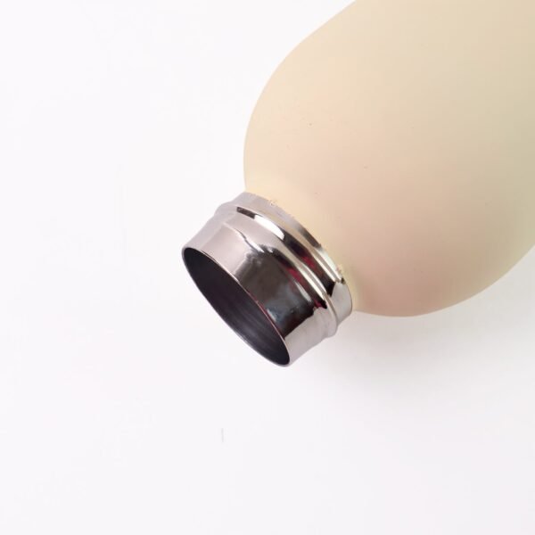 Stainless Steel Double Wall Vacuum-Insulated Drink Water (Mix Color / 500 ML Approx)