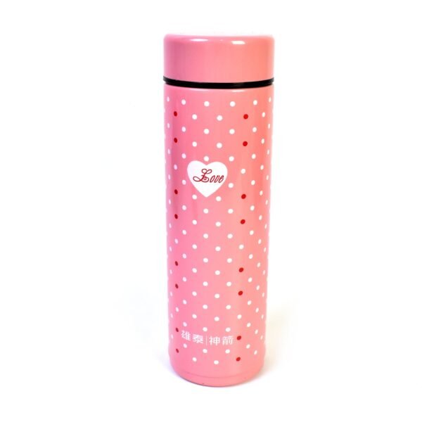 Water Bottle for Kids – Insulated Stainless Steel Bottle (300 ML / 1 Pc)