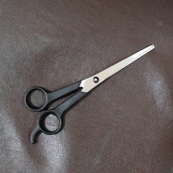 Professional Hair Cutting Scissors - (1 Pc)