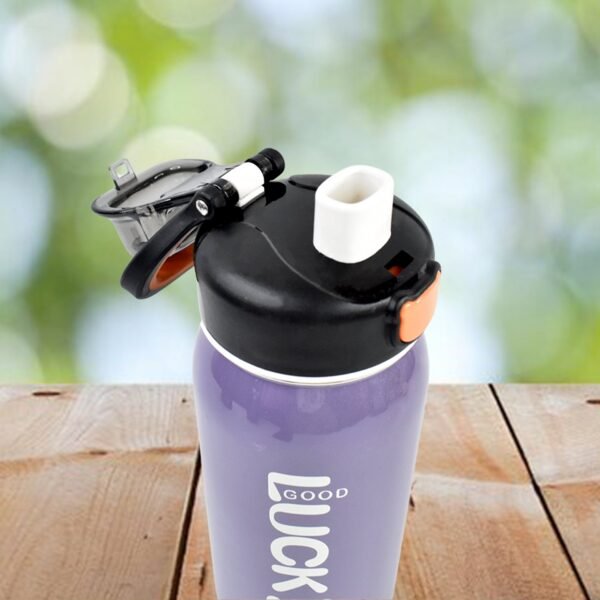 Stainless Steel Water Bottles Approx 600ML (Mix Design & Color / 1 Pc)