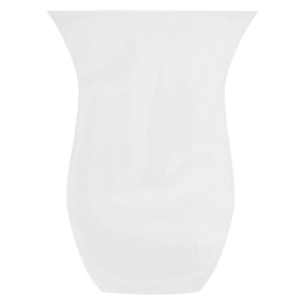 Clear Cookie Bags, Gift Bag Clear Flat Treat Bags (50 Pc Set)