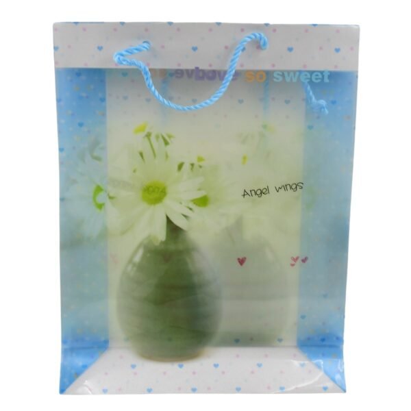 Plastic Transparent Bag With Handle (1 Pc / 34 x 26 Cm)