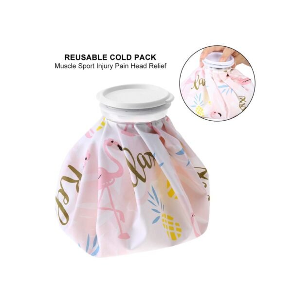 07_7ad8596c-e84d-42cd-82ad-13633f396933.jpg Pain Reliever Ice Bag Used To Overcome Joints And Muscles Pain In The Body.
