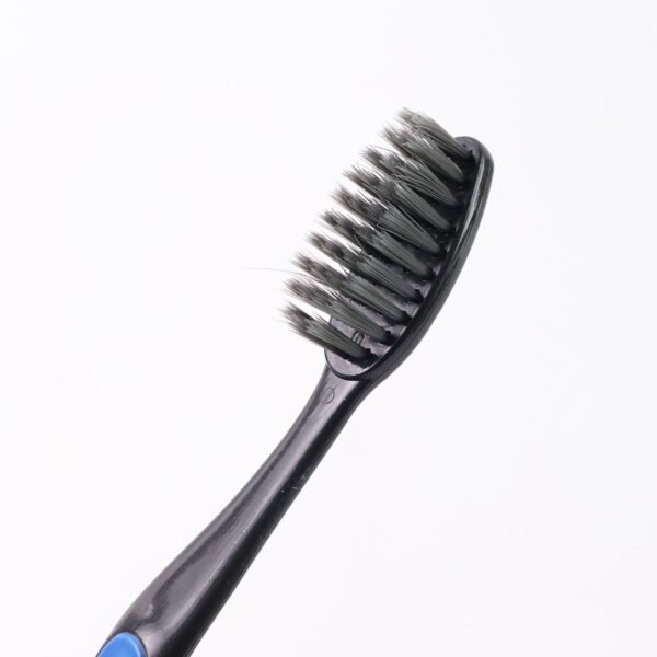 Soft Toothbrush with Plastic Round Box for Adults & Kids (Set of 10 Pcs)