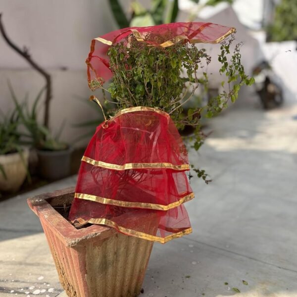 07_TulsiJiPoshak.jpg Premium Tulsi Vastra Pooja Cloth – 2-Piece Set