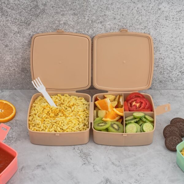 Double-Layer Square Lunch Box with Spoon , 4 Compartment Tiffin & Push Lock