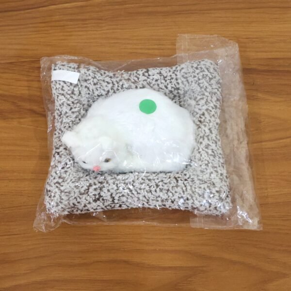 Soft Plush Cute Cat Car Dashboard Showpiece Toy (1 Pc)