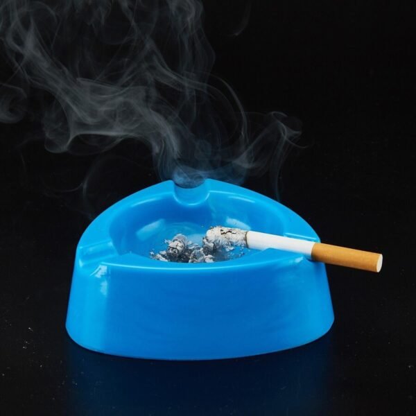 08_ebdffda4-d096-4659-930c-d702c1075b29.jpg Oblivion Durable Plastic Ashtray with Wide Bowl and Triple Cigarette Holder Slots (1 Pc)