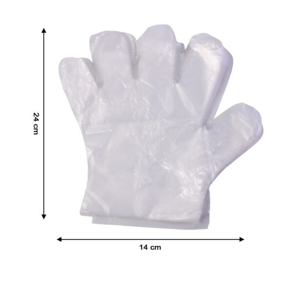 Disposable Transparent Plastic Gloves (100 Piece Pack)