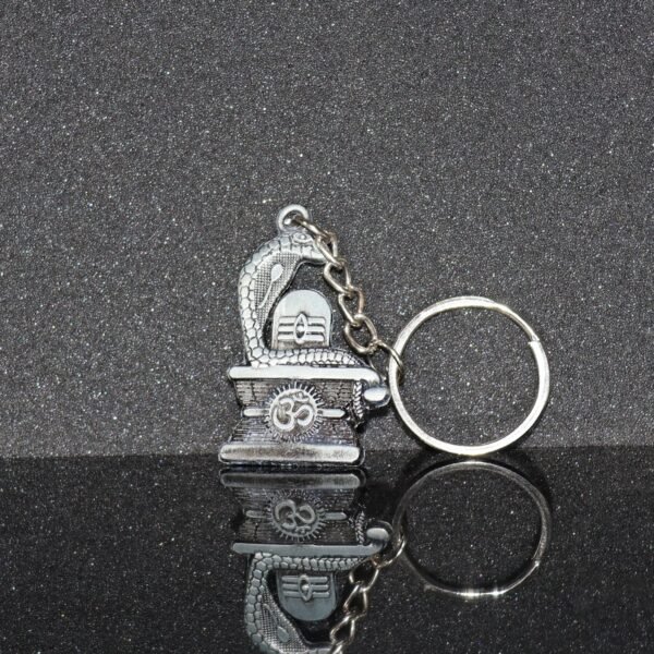 Shivling Trishul Metal Keychain Set (5 Pc Mix Design)