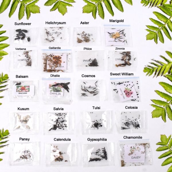 Seeds 20 Varieties of Flower Seeds Combo (1 Pkt / 20 Varieties)