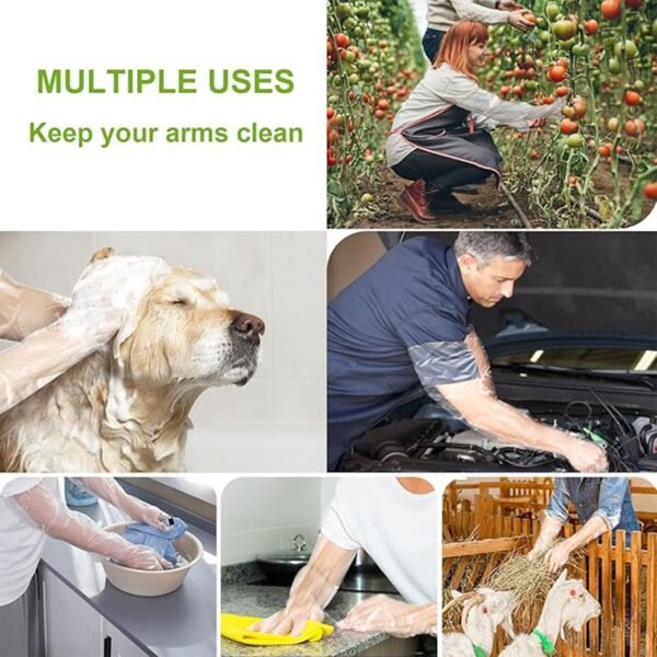 09_1efdcb5a-df7e-443b-8f1f-b32477200f3c.jpg Disposable Plastic Gloves For Kitchen Food Handling (1 Pair)