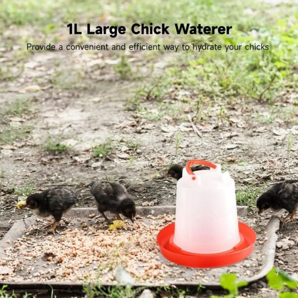 Automatic Chicken Drinker Chicken Feeder with Humanized Handle