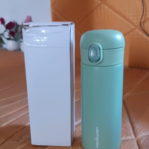 Stainless Steel Insulated Water Bottle (450 ml)