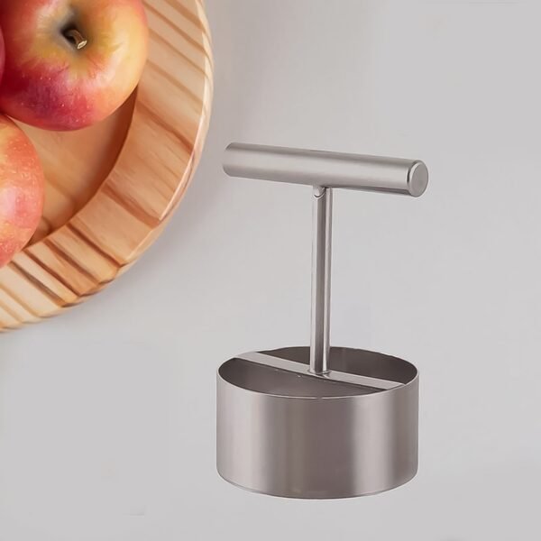 10016_ss_fruit_core_puller_1pc.jpg Corer Pear Core Separator Vegetable, Fruit Hole Remover Coring Tool (1 Pc)