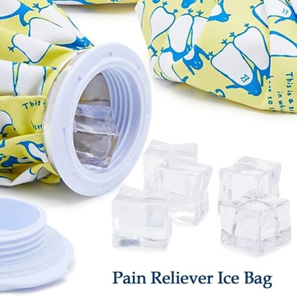 11_15e9267f-1e6c-4142-a468-93ad75ef59c6.jpg Pain Reliever Ice Bag Used To Overcome Joints And Muscles Pain In The Body.