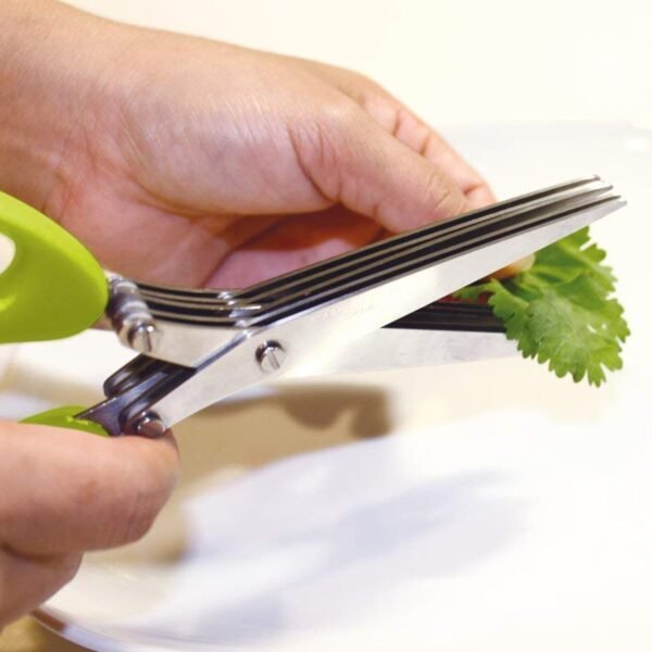 11_c5b84b0e-1d30-4518-81a9-cc9fd05b1872.jpg Multifunction Vegetable Stainless Steel Herbs Scissor with 3 Blades