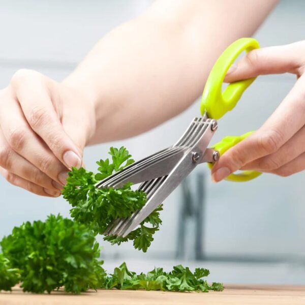 12_3fbf0cbf-4339-4db3-86fd-69532421bb73.jpg Multifunction Vegetable Stainless Steel Herbs Scissor with 3 Blades