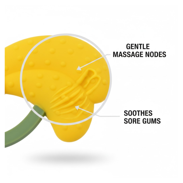 Baby Silicone Teether (1 Pc): Food Grade, Non-Toxic, Teething Relief (3 Months+)