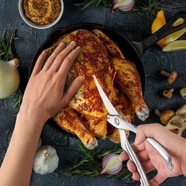 1_529fc930-e633-45f4-922f-48d8ad5a32d2.jpg Heavy Duty Stainless Steel Poultry Shears, Premium Ultra Sharp Spring-Loaded Kitchen