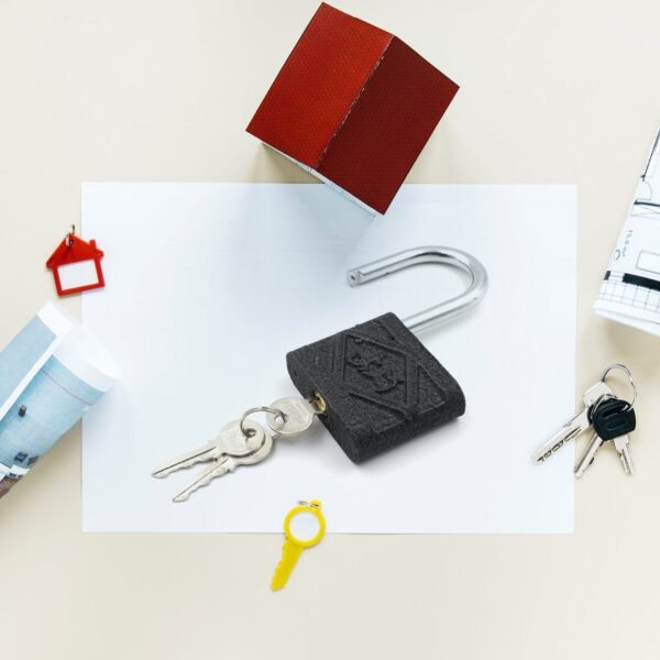 1_c3149014-3888-4eb2-b48c-7dbb5191c6a3.jpg Black Iron Padlock – Brass Core, Waterproof & Anti-Theft for Home & Outdoor (75 mm)