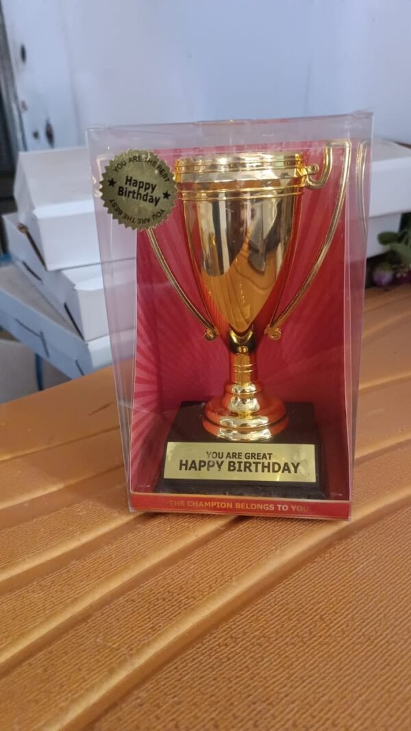 1bdce23f-83f0-43d2-88f2-0d6ccac2d102.jpg Golden Birthday Trophy – “You Are Great Happy Birthday” Plastic Award with Base