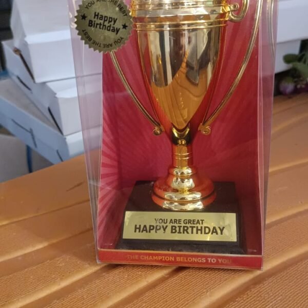 1bdce23f-83f0-43d2-88f2-0d6ccac2d102.jpg Golden Birthday Trophy – “You Are Great Happy Birthday” Plastic Award with Base
