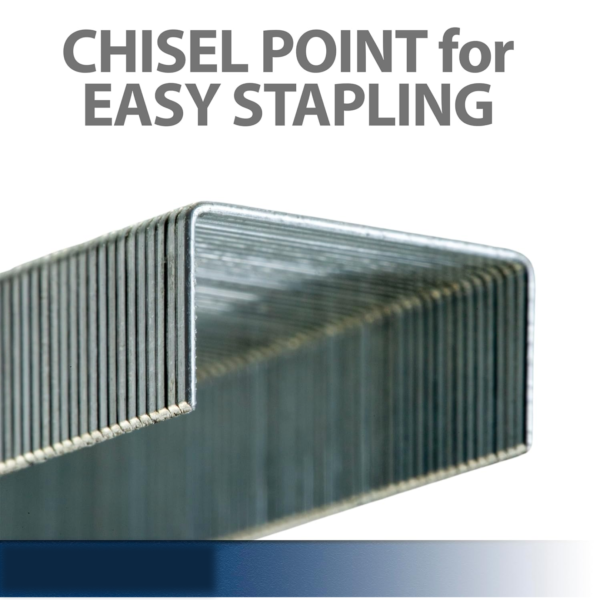 20388.png Kangaro No.10-1M High-Quality Staples (1 Set)