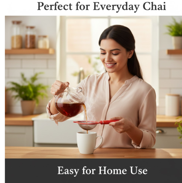 Plastic Tea Strainer Sieve (Chai Chalni)