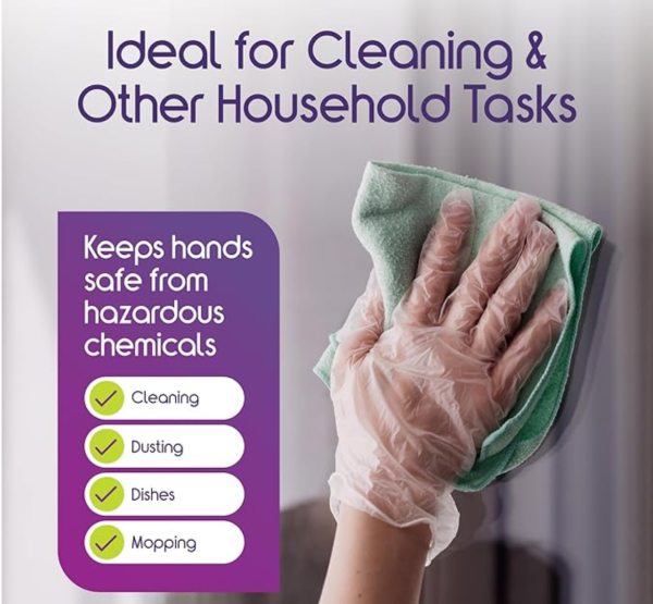 2092621781.png Large Disposable Gloves (100 Pcs): Clear Plastic, Multipurpose