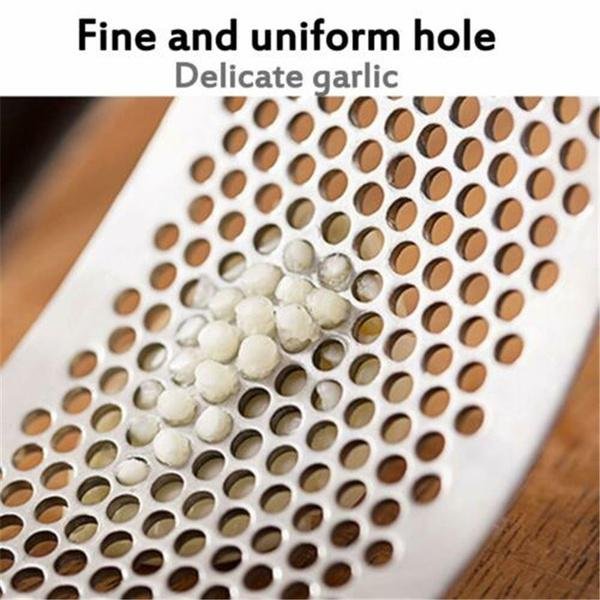 Stainless Steel Garlic Presser  / Crusher (Multicolor)