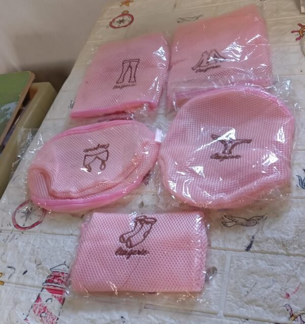 Zippered Mesh Laundry Wash Bags for Delicates & Lingerie (5 Pc Set)