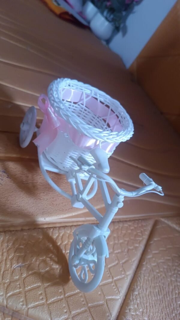 2630ca4e-aead-4ff6-be4a-be7fb0b64c19.jpg Plastic Cycle Flower Vases For Home Decor; Bicycle Flower Pot Stand (1 Pc)