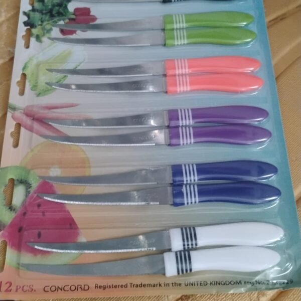 Stainless Steel Multipurpose Serrated Knife Set (12 Pc)