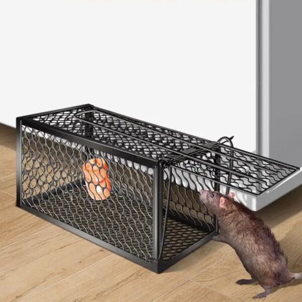 Live Mouse Trap – Easy Catch & Release Cage Mice, Squirrels, Voles & Hamsters