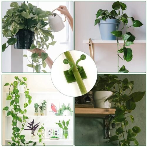 Money Plant Support Clips Vine Plant (10 Pcs Set)