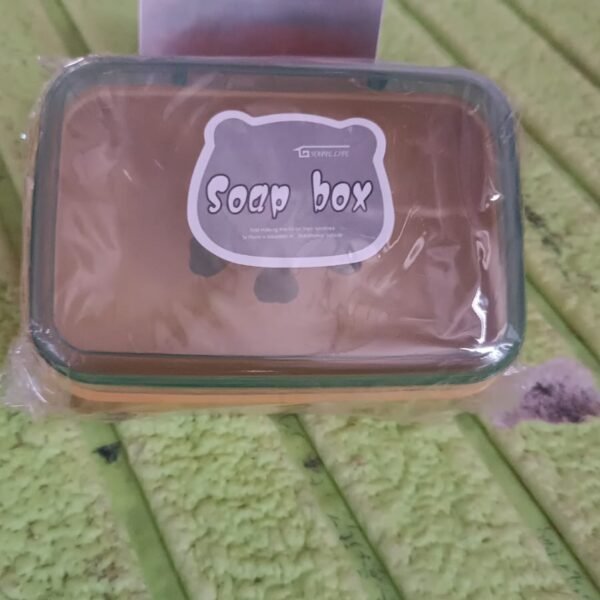 Plastic Soap Dish, Plastic Self Draining Soap Holder ,Sabudani (1 Pc / Mix Color)