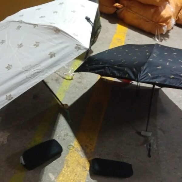 3-Fold Cute Umbrella – Sun & Rain Protection, UV Shield (1 Pc / With Zip Case)