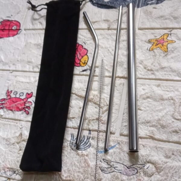 2c9d9cbd-c5ff-4f4a-96e4-04ae331f2707.jpg Reusable Stainless Steel Straws with Case for Drinking (4 Pc, Eco-Friendly)