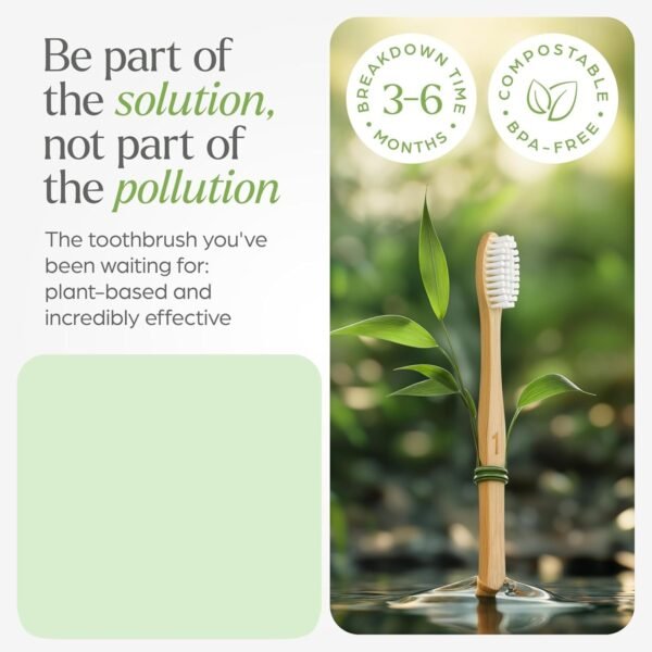 2eceeac1-b1e0-409d-84cb-1059153cd6b0.jpg Eco-Friendly Natural Bamboo Toothbrush with Medium Bristles (2 Pc)