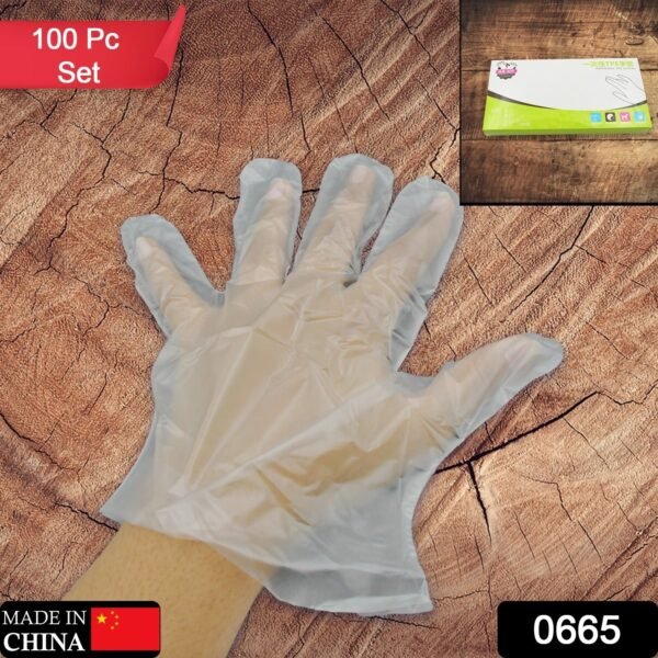 2efeeb46-9d51-467a-b755-b7c9cfff74f7.jpg Large Disposable Gloves (100 Pcs): Clear Plastic, Multipurpose